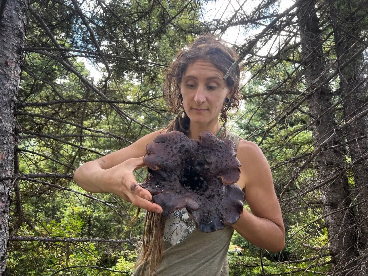 A woman standing in a dense pine forest holding a huge dark brown-black, scaly Mushroom 