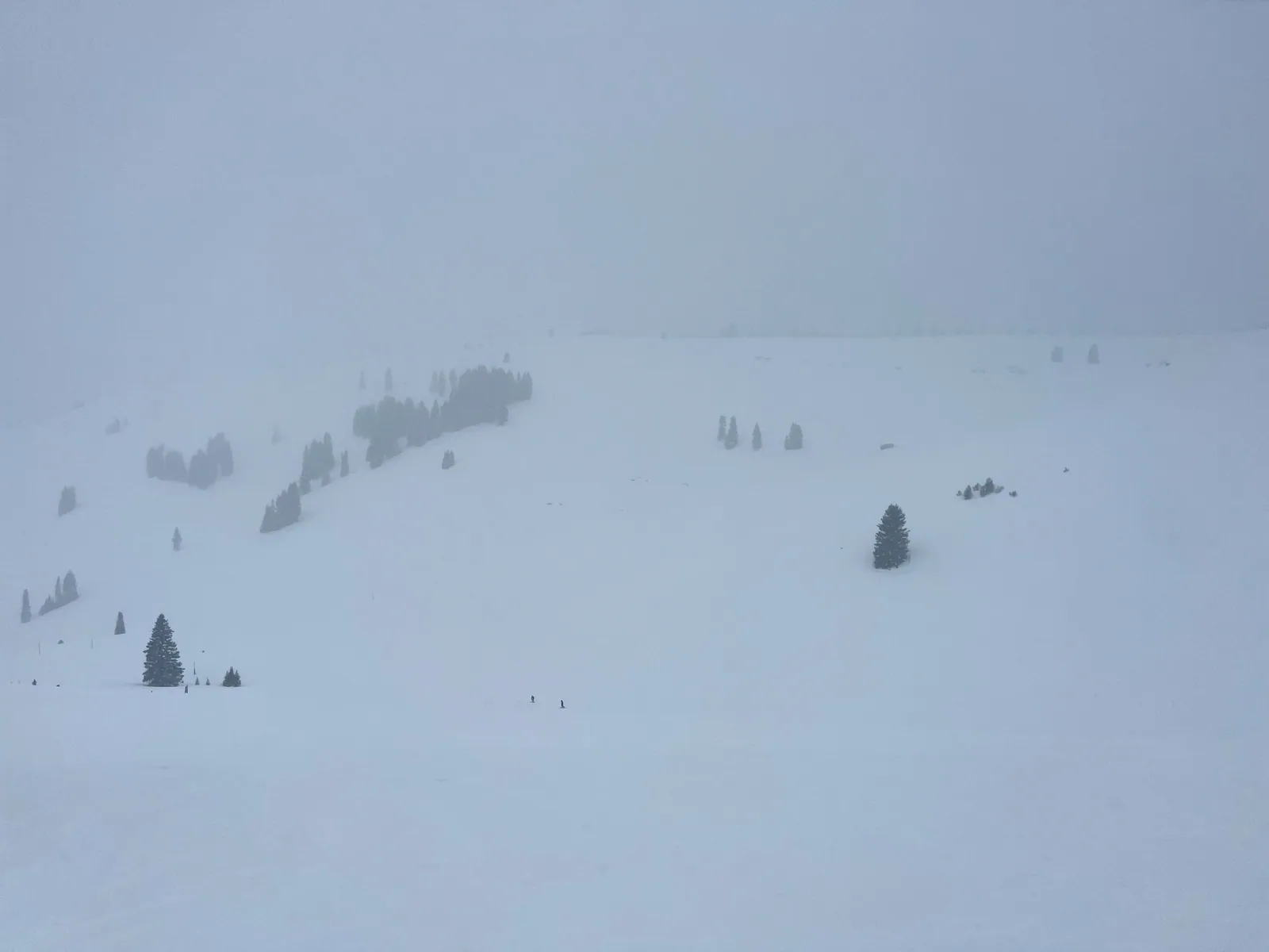 A vast open mountain bowl covered in snow during a whiteout blizzard with only a few trees visible.