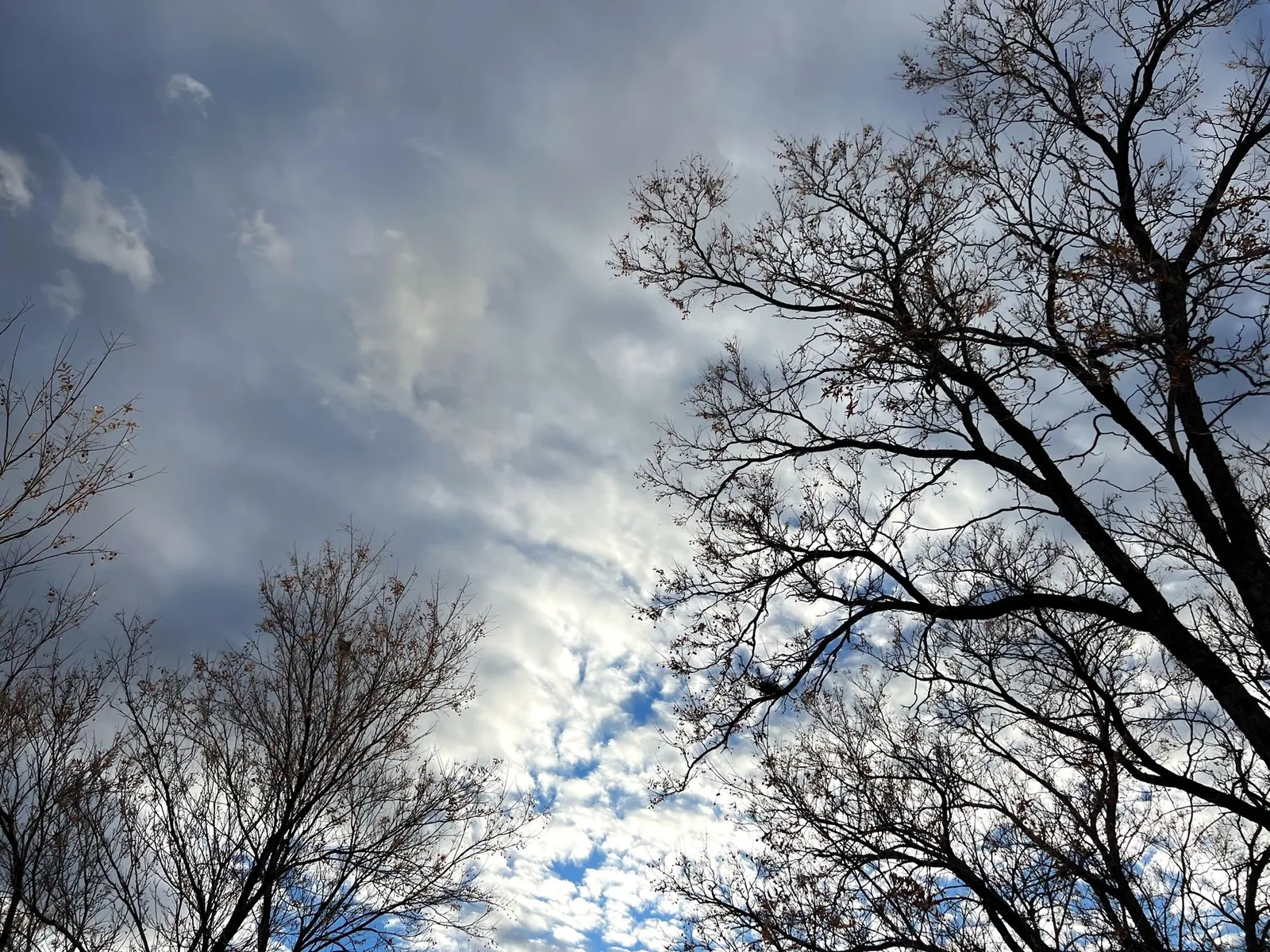 A photo of the sky with clouds and trees silhouetted on each side of the picture.