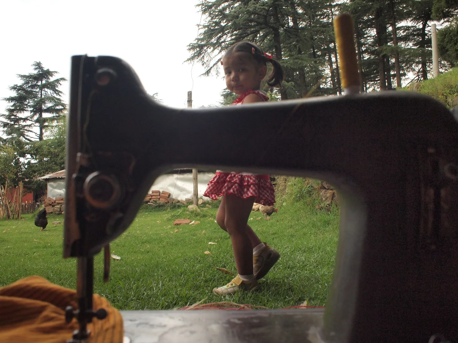 In the foreground is an old grey sewing machine, sewing yellow and black fabric. Behind is a small girl in red and white walking in the grass with a chicken.