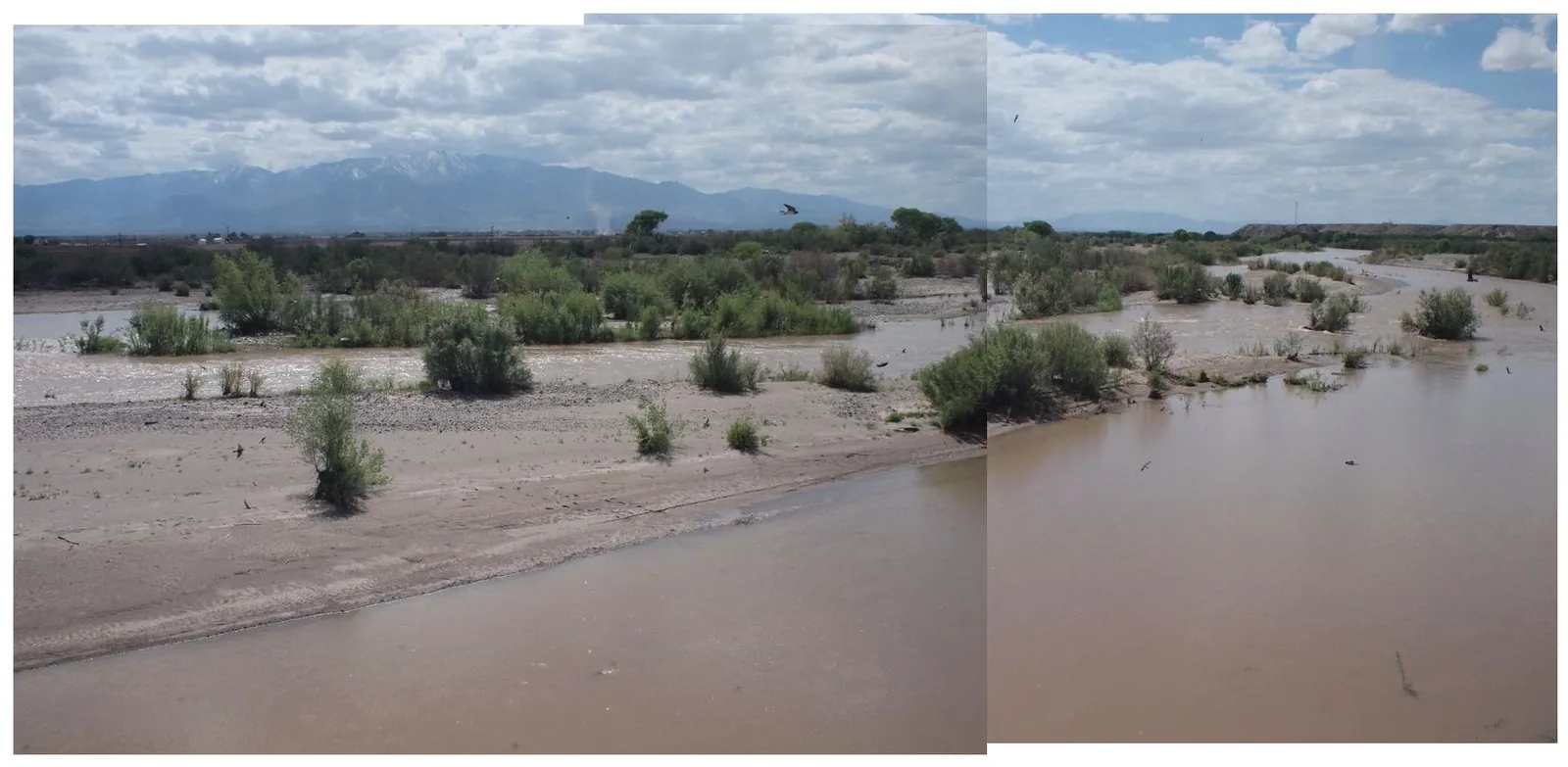 a muddy river flows with swallows flying above, green bushes along the banks, snowy mountains in the background and puffy clouds overhead
